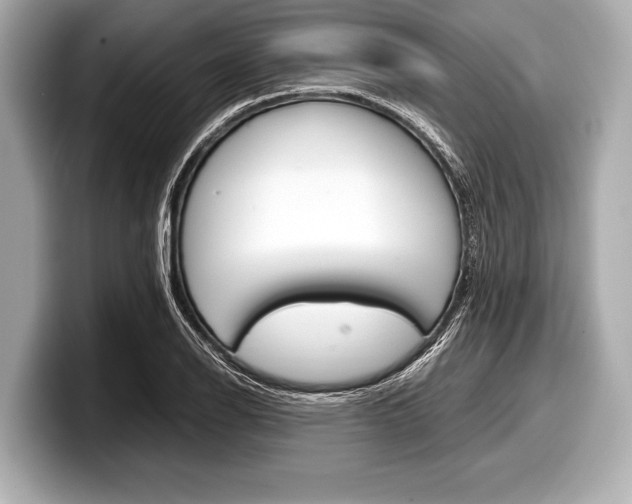 X0000099231126200804241223