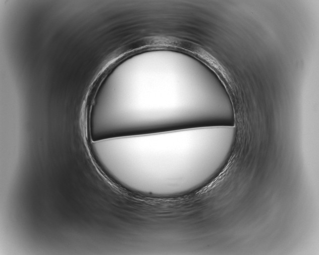 X0000099231127200804241223