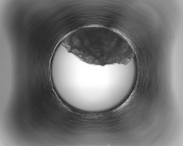 X0000099231129200804241224