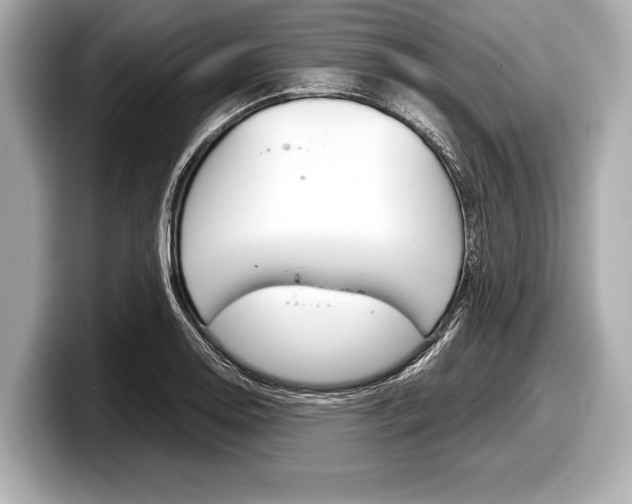 X0000099231130200804241224