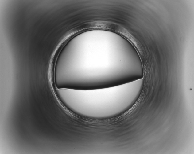 X0000099231131200804241224
