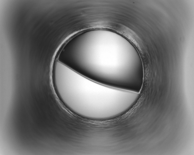 X0000099231132200804241224