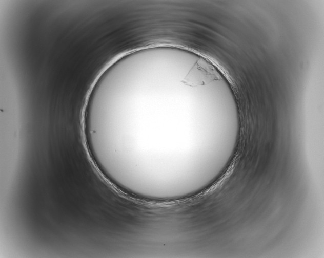 X0000099231134200804241224