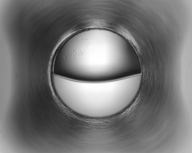 X0000099231138200804241224