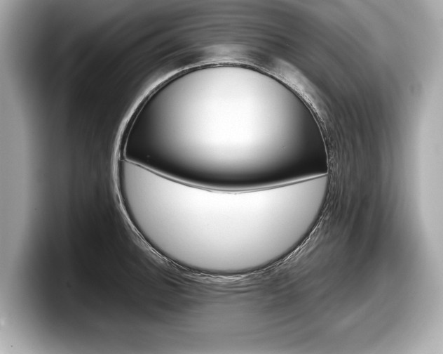 X0000099231140200804241224