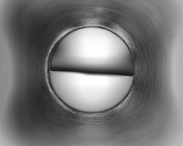 X0000099231142200804241224