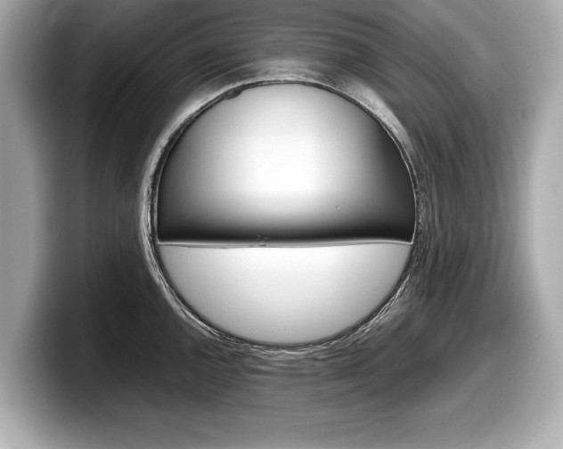 X0000099231144200804241224