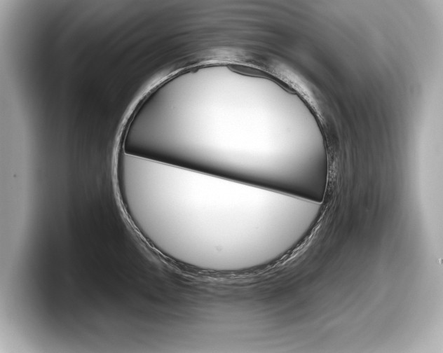 X0000099231146200804241224