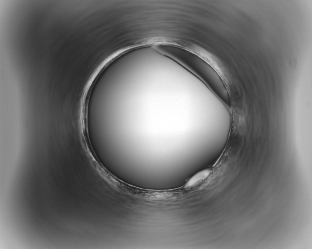 X0000099231148200804241224