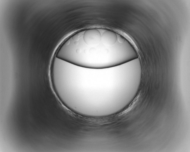 X0000099231149200804241224