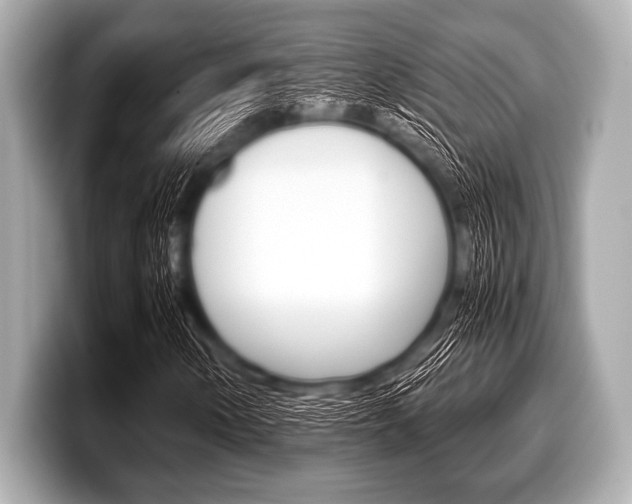 X0000099231154200804241223