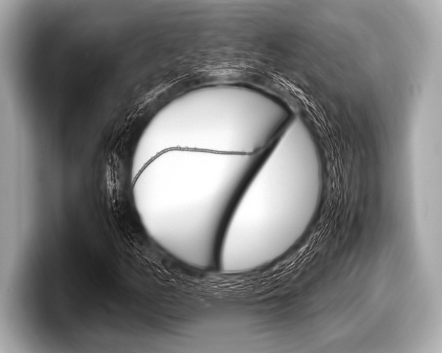 X0000099231158200804241223