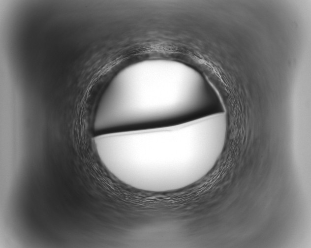 X0000099231159200804241223