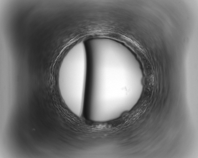 X0000099231160200804241223