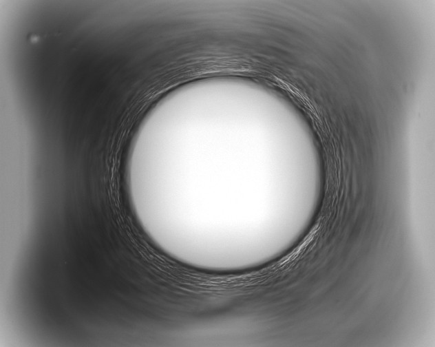 X0000099231161200804241223