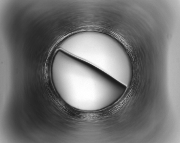 X0000099231164200804241223