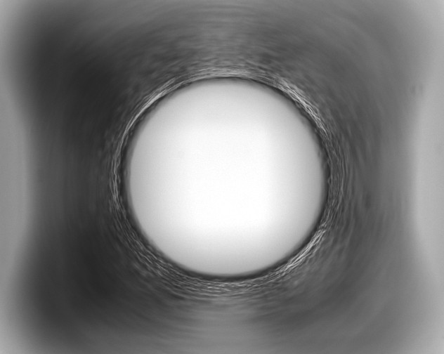 X0000099231165200804241223