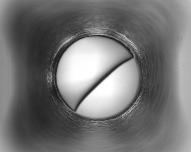 X0000099231166200804241223