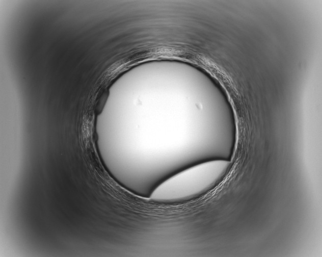 X0000099231169200804241223