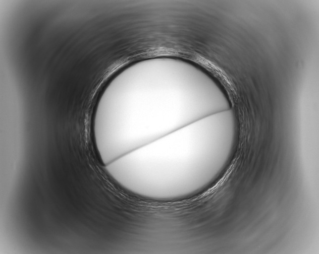 X0000099231170200804241223