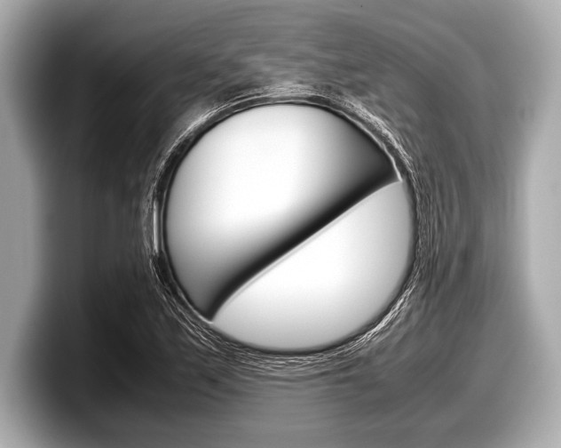 X0000099231171200804241223