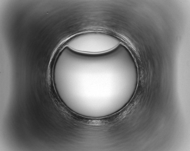 X0000099231172200804241223