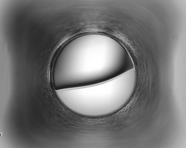 X0000099231173200804241223