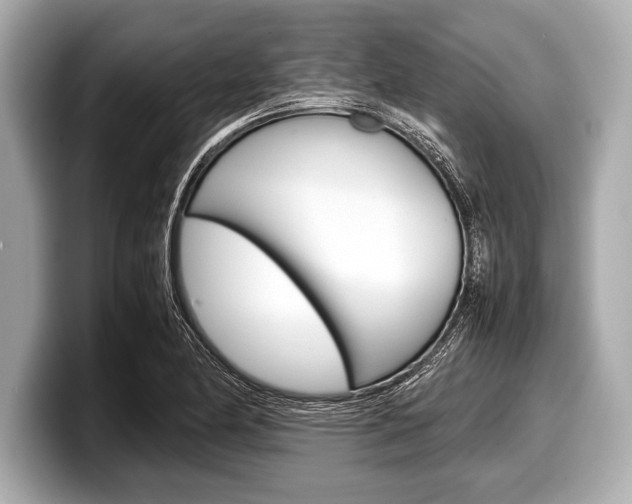 X0000099231174200804241223