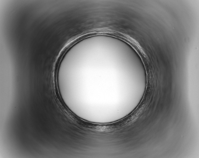 X0000099231176200804241223
