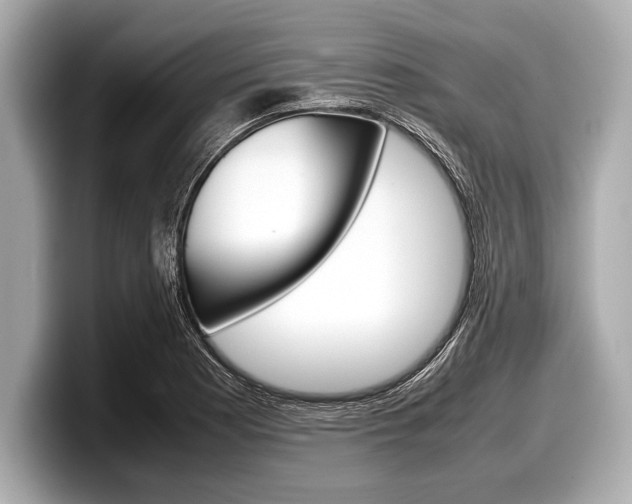 X0000099231177200804241223
