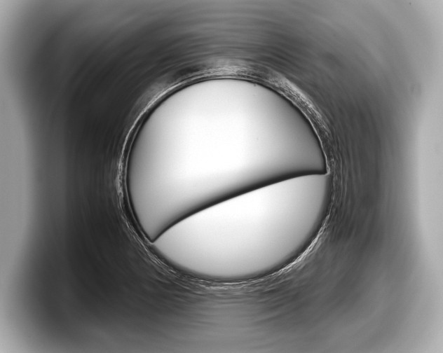 X0000099231178200804241223