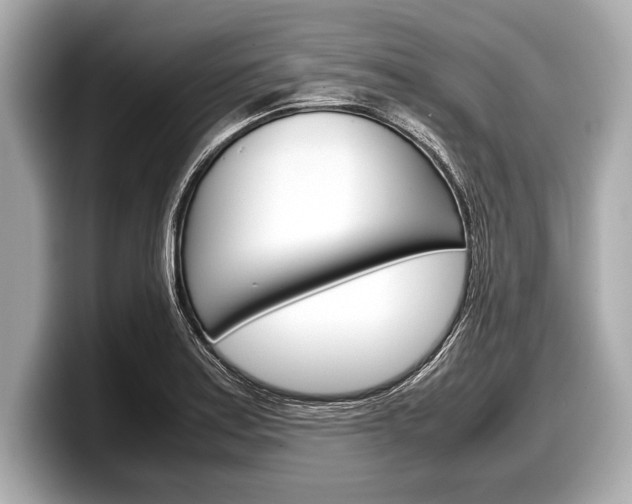X0000099231179200804241223