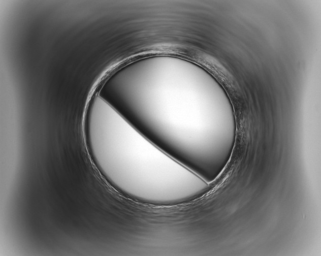 X0000099231180200804241223