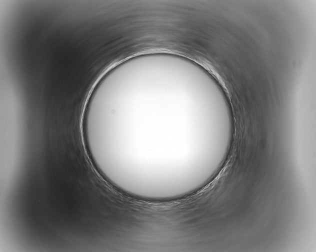 X0000099231181200804241223