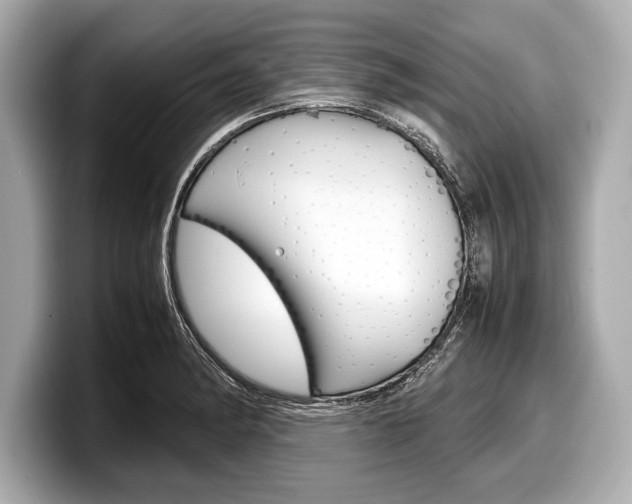 X0000099231182200804241223