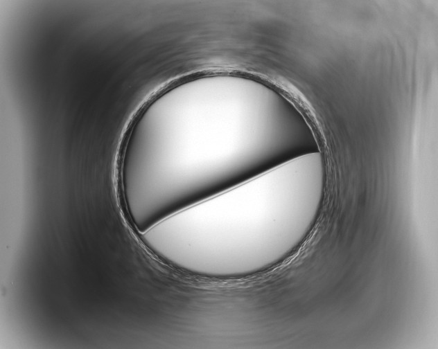 X0000099231183200804241223