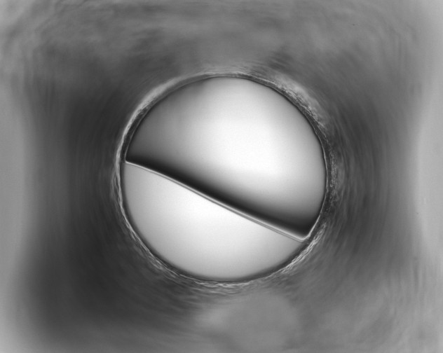 X0000099231184200804241223