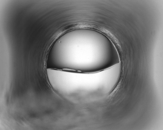 X0000099231185200804241223
