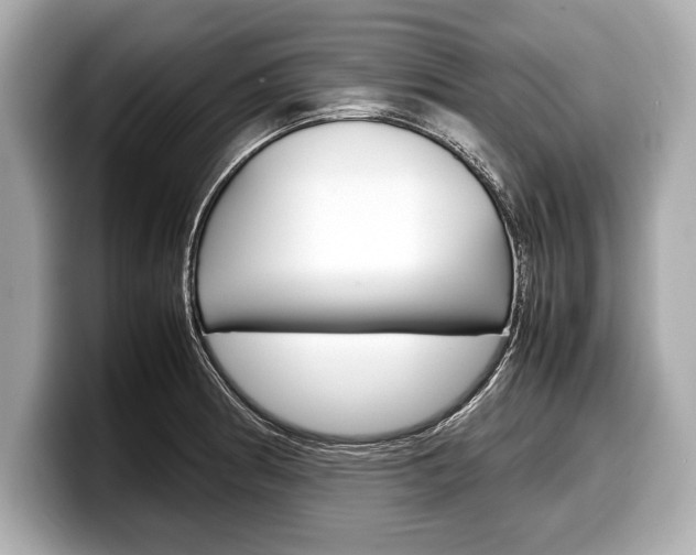 X0000099231186200804241223