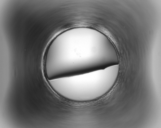 X0000099231187200804241223