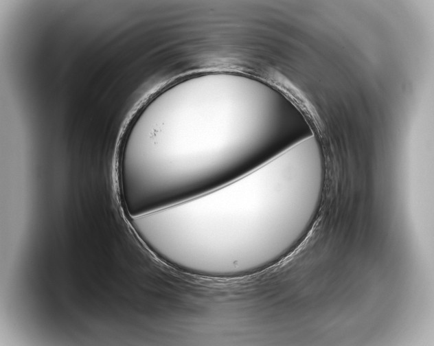 X0000099231188200804241223