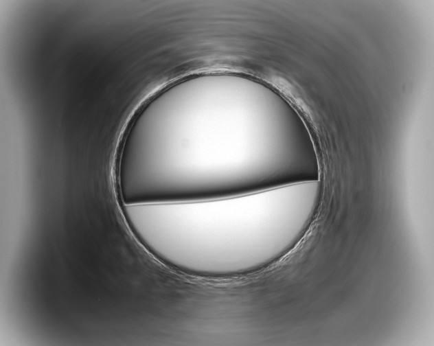 X0000099231189200804241223