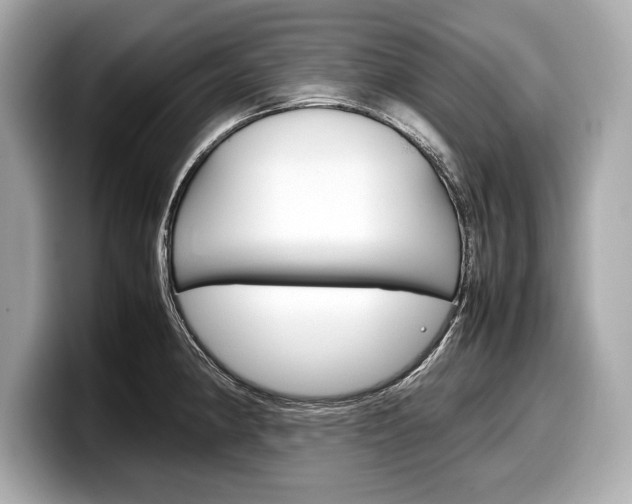 X0000099231190200804241223