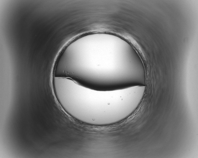 X0000099231191200804241223