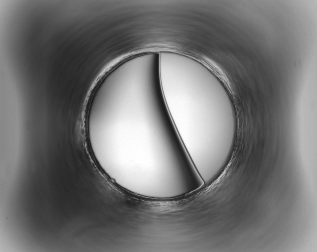 X0000099231192200804241223