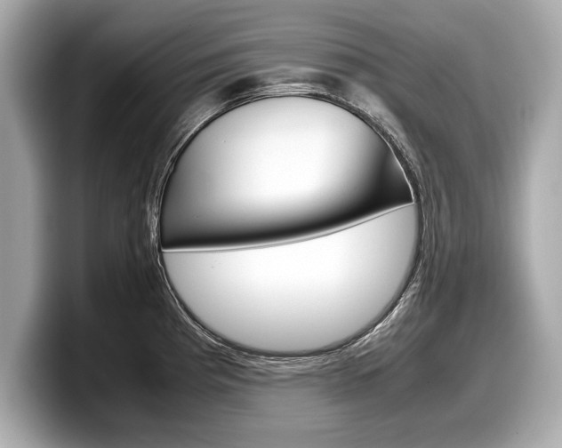 X0000099231193200804241223
