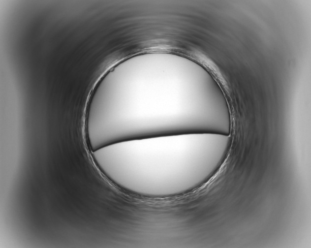 X0000099231194200804241223