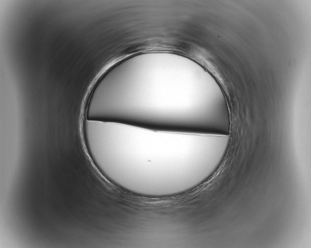 X0000099231195200804241223