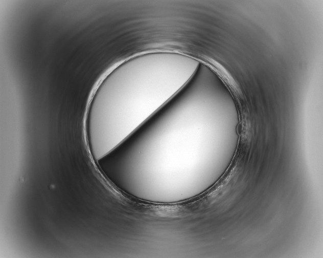 X0000099231196200804241223
