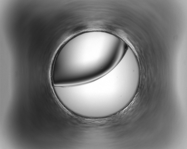 X0000099231197200804241223